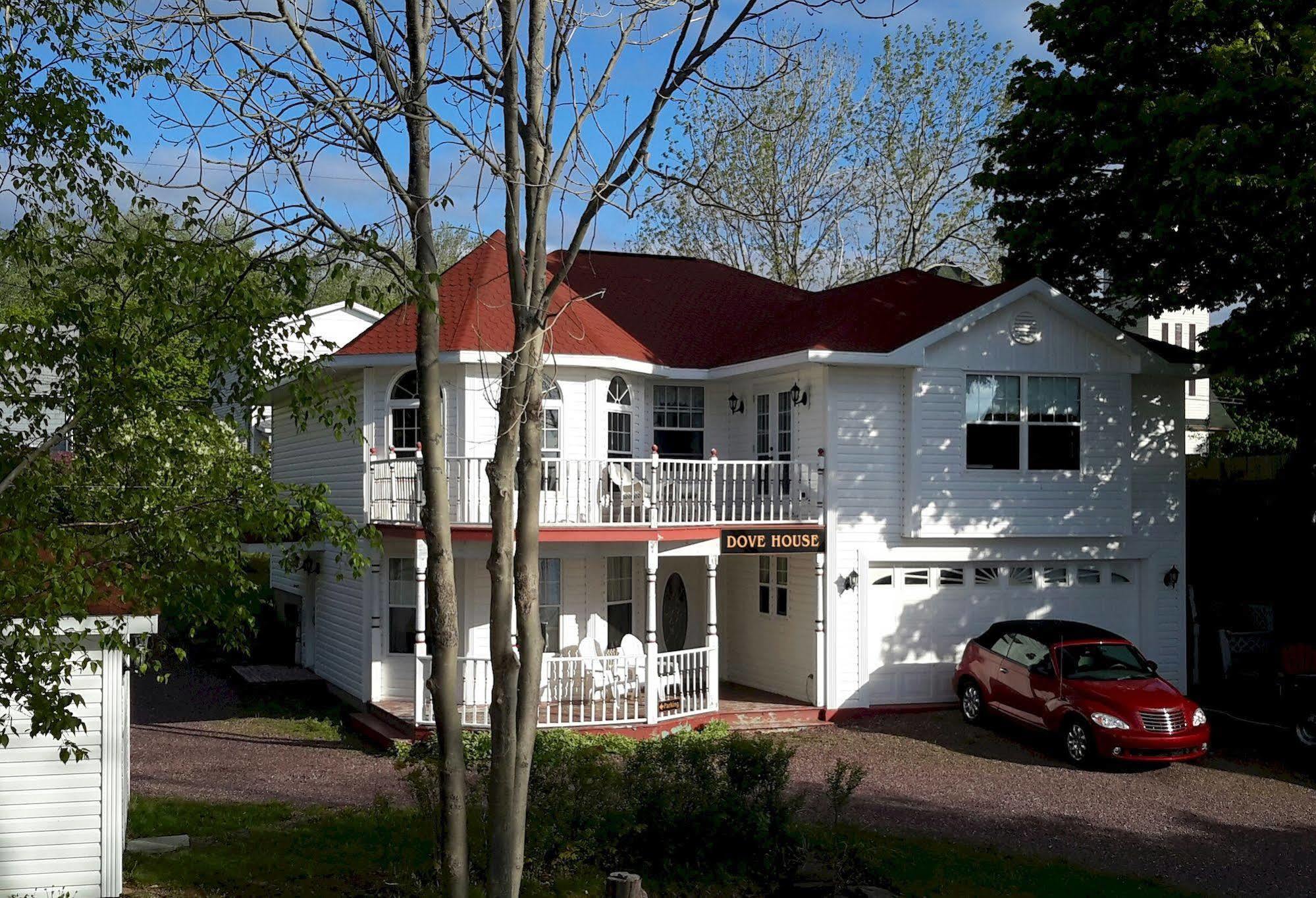 Dove House Bed & Breakfast Harbourside North Sydney Exteriör bild