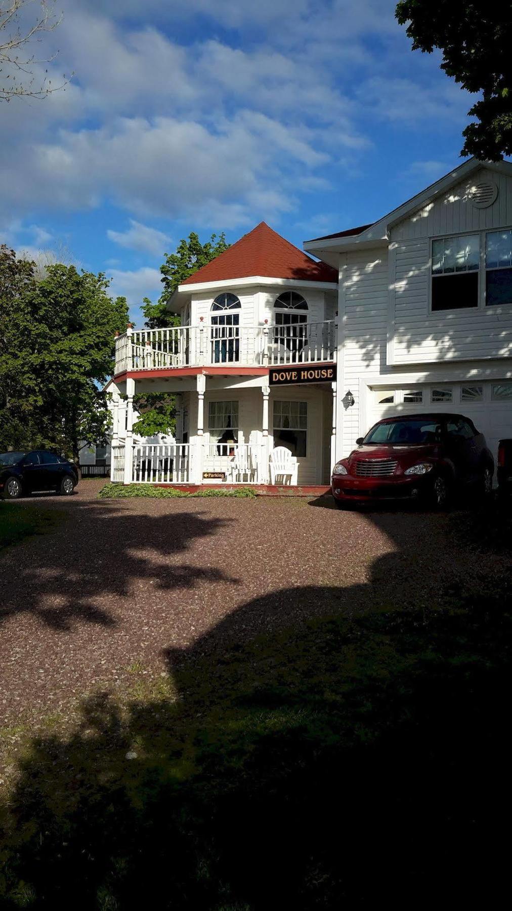 Dove House Bed & Breakfast Harbourside North Sydney Exteriör bild